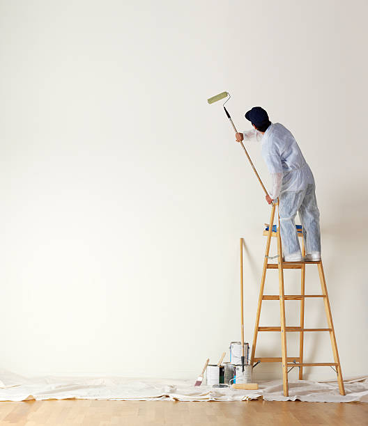 Local expertise photo - man painting wall